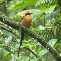 Costa Rica: olas y atardeceres: foto del viajero #1