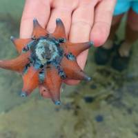 Ultimate Tasmania - 10 Day Comfort Tour of Tasmania traveler photo #1