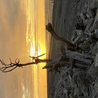 Explorador de Nueva Zelanda: foto del viajero #3