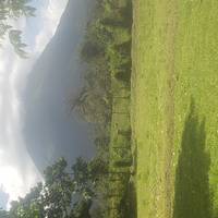 Photo de voyageur Volcans, nature et Caraïbes #3
