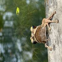 Ongelooflijk Vietnam: foto van de reiziger #2