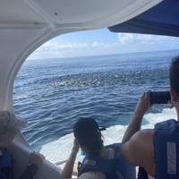 5-Day Luxury Galapagos traveler photo #3