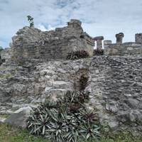 Yucatan Adventure: Merida, Tulum & Jungle Swims traveler photo #3