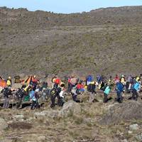 10 Days Mount Kilimanjaro Climb Northern Circuit Route ( all included Transport and Accommodations ) traveler photo #1