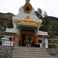 Annapurna Circuit and Tilicho Lake Trek traveler photo #3