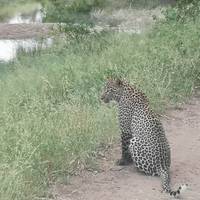 Kruger National Park & de Panoramaroute – een safari – 3 dagen: foto van de reiziger #3
