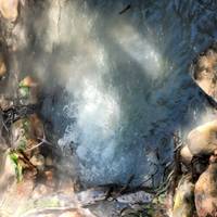 Photo de voyageur Costa Rica exotique #3