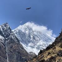 Langtang Valley trek 10 Days traveler photo #3