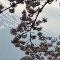 Los mejores viajes familiares a Japón con salida diaria, sin grupo: foto del viajero #2