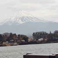 Los mejores viajes familiares a Japón con salida diaria, sin grupo: foto del viajero #3