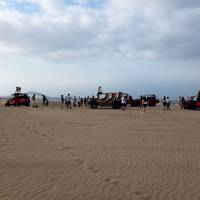 3 days -Lima – Paracas – Nazca traveler photo #3