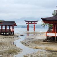 Express del sur de Japón: foto del viajero #1