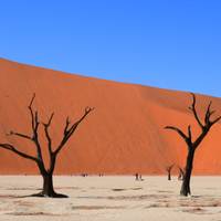 Photo de voyageur Aventure de 3 jours en camping à Sossusvlei #1