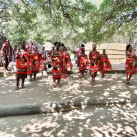 South Africa Odyssey traveler photo #1