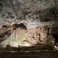 South Africa Odyssey traveler photo #2
