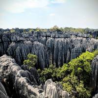 Baobab Safari Reise-Foto #1