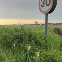 Real Britain (London Overnights) traveler photo #2