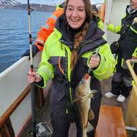 IJsland: Lagunes en lavavelden: foto van de reiziger #1