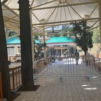 Dharamshala Mcleodganj  & Trekking Tour 4 Nights 5 Days traveler photo #2