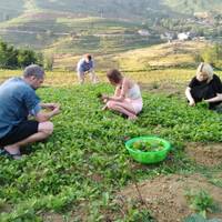 Ninh Binh, Hạ Long & Sapa – vanuit Ha Noi – 4 dagen: foto van de reiziger #1