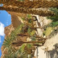 Highlights of Tunisia, Small Group Tour traveler photo #2