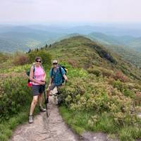 Asheville Inn Based Hiking Tour traveler photo #2