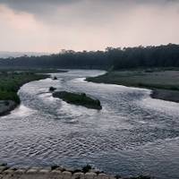 Photo de voyageur Safari dans la jungle de Chitwan - voyage exotique de 2 nuits / 3 jours #2