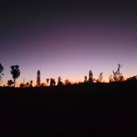 3 Day Uluru Adventure traveler photo #3