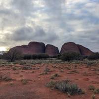 Uluru Kata - Tjuta Kings Canyon (Camping) ab Alice Springs 3 Tage Reise-Foto #3