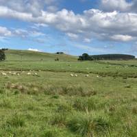 Reis over de Speyside Whisky Trail - in kleine groep - vanuit Edinburgh - 3 dagen: foto van de reiziger #3