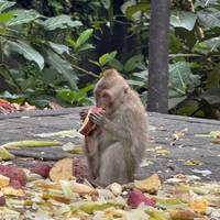 Exploring Bali: Culture and Nature Tour (Private Custom) traveler photo #3