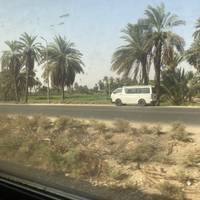 Photo de voyageur Croisière de 4 nuits sur le Nil de Louxor à Assouan (option ballon et Abou Simbel) #3