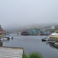 Newfoundland Verkenner van Corner Brook: foto van de reiziger #3