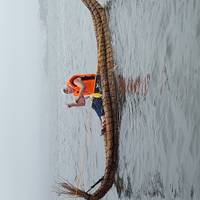 Environmental Conservation Volunteering, Cultural Immersion and Temple Stay on Sado Island traveler photo #2