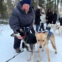 Finlandia en 8 días - Helsinki y Rovaniemi: foto del viajero #3