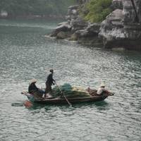 Photo de voyageur 1 JOUR - Croisière dans la baie d