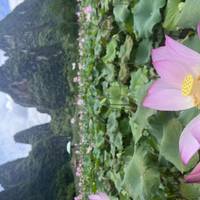 The Essence of Guilin traveler photo #2