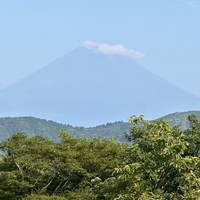 Japan für die ganze Familie mit Tokio, Kyoto, Osaka und mehr 12 Tage Reise-Foto #2