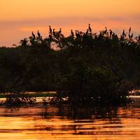 Photo de voyageur Aventure dans la jungle amazonienne de Manaus 5J/4N #1