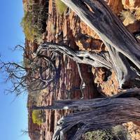 3 Day Uluru Red Centre Kings Canyon (Camping) - from Ayers Rock traveler photo #2