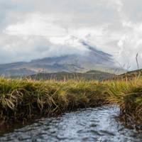 Das Beste von Ecuador Reise-Foto #3