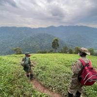Photo de voyageur Amis du dos argenté #2