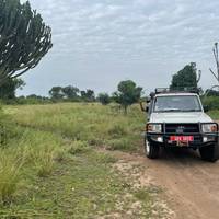 Photo de voyageur Amis du dos argenté #1