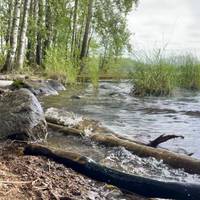 Helsinki en Zuid-Karelië in 5 dagen (Gegarandeerd vertrek): foto van de reiziger #1