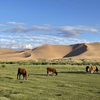 Gobi Rundreise - 5 Tage Reise-Foto #1