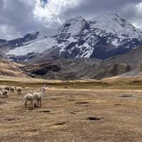 The Peaks of Ausangate traveler photo #3