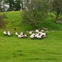 West Coast explorer - een rondreis in kleine groep - vanuit Dublin - 3 dagen: foto van de reiziger #3