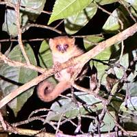 Hoogtepunten van Madagaskar: foto van de reiziger #2