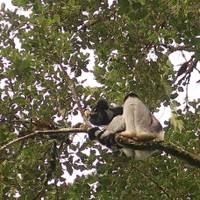 Hoogtepunten van Madagaskar: foto van de reiziger #3