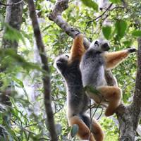Photo de voyageur Madagascar en profondeur #1